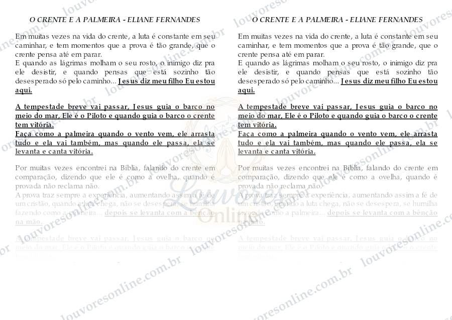 Prévia de O Crente e a Palmeira